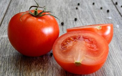 Wat een tomaat met productiviteit te maken heeft